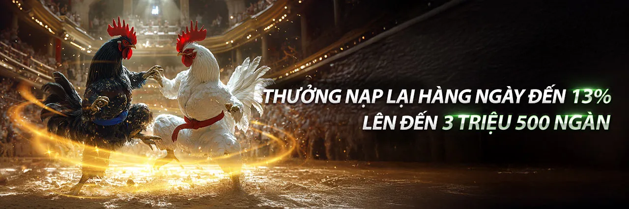 Sân vận động với ánh đèn rực rỡ và logo k8s nhà cái